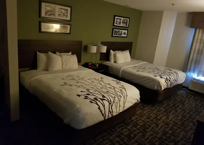 Inn Sleep Decatur I-72